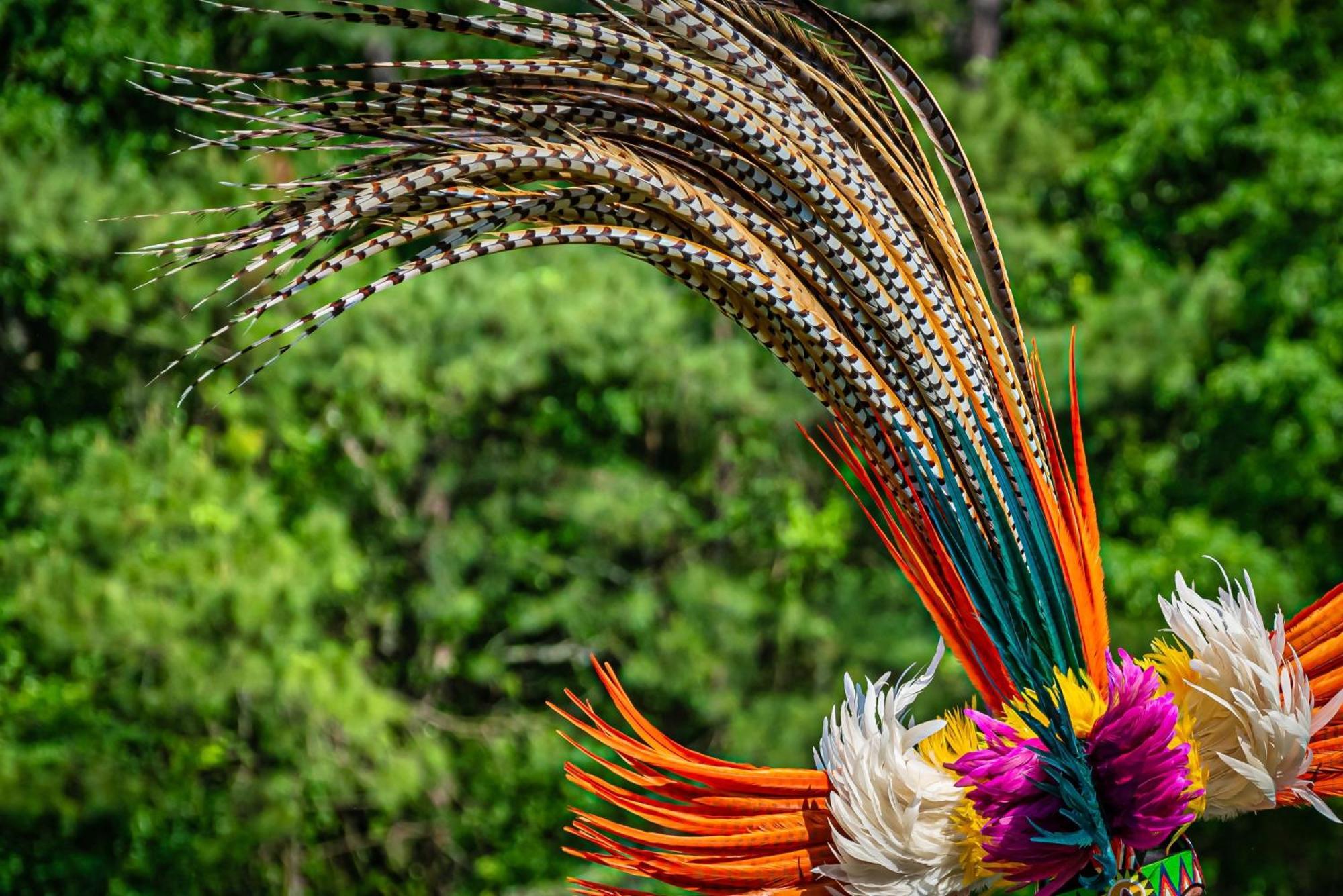 Caiman Lodge - Cuyabeno Nature Amazon Tour Exterior foto